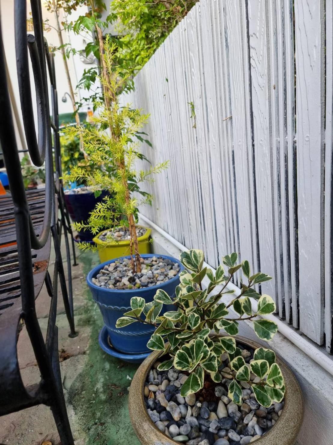 פטצ'אבורי Sida Hostel מראה חיצוני תמונה